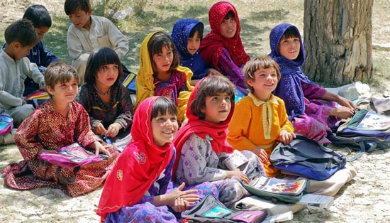 电话轰炸机在线网页版